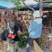 ヒメ日記 2025/11/06 15:01 投稿 Haru【ハル】 Club Lumine(中津)