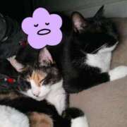 ヒメ日記 2025/11/06 23:01 投稿 Haru【ハル】 Club Lumine(中津)