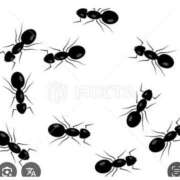 ヒメ日記 2025/11/08 16:00 投稿 Haru【ハル】 Club Lumine(中津)