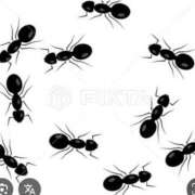 ヒメ日記 2025/11/09 18:30 投稿 Haru【ハル】 Club Lumine(中津)