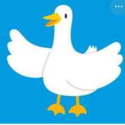 ヒメ日記 2025/11/10 11:00 投稿 Haru【ハル】 Club Lumine(中津)