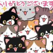 ヒメ日記 2025/11/12 08:01 投稿 Haru【ハル】 Club Lumine(中津)