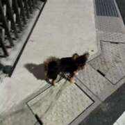 ヒメ日記 2025/11/12 23:01 投稿 Haru【ハル】 Club Lumine(中津)