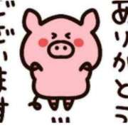 ヒメ日記 2025/11/13 09:00 投稿 Haru【ハル】 Club Lumine(中津)