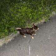 ヒメ日記 2025/11/14 05:21 投稿 Haru【ハル】 Club Lumine(中津)