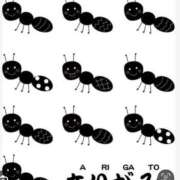 ヒメ日記 2025/11/15 23:00 投稿 Haru【ハル】 Club Lumine(中津)