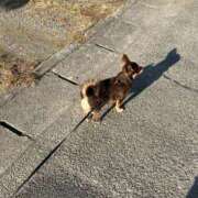 ヒメ日記 2025/11/20 14:55 投稿 Haru【ハル】 Club Lumine(中津)