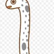 ヒメ日記 2025/11/23 09:00 投稿 Haru【ハル】 Club Lumine(中津)