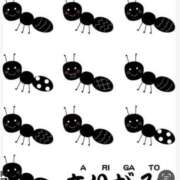 ヒメ日記 2025/11/27 19:02 投稿 Haru【ハル】 Club Lumine(中津)