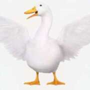 ヒメ日記 2025/12/03 08:00 投稿 Haru【ハル】 Club Lumine(中津)