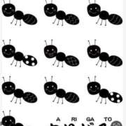 Haru【ハル】 🐜🐜🐜🐜🐜🐜🐜🐜🐜🐜 Club Lumine(中津)