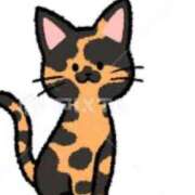 ヒメ日記 2025/12/13 08:00 投稿 Haru【ハル】 Club Lumine(中津)