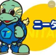 ヒメ日記 2025/12/17 11:00 投稿 Haru【ハル】 Club Lumine(中津)