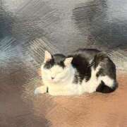 ヒメ日記 2025/12/17 17:01 投稿 Haru【ハル】 Club Lumine(中津)