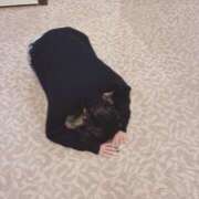 ヒメ日記 2025/12/31 00:13 投稿 Haru【ハル】 Club Lumine(中津)