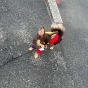 ヒメ日記 2025/12/31 18:02 投稿 Haru【ハル】 Club Lumine(中津)