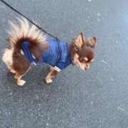 ヒメ日記 2026/01/02 07:35 投稿 Haru【ハル】 Club Lumine(中津)