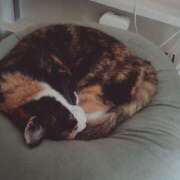 ヒメ日記 2026/01/08 16:01 投稿 Haru【ハル】 Club Lumine(中津)