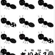 ヒメ日記 2026/01/15 21:00 投稿 Haru【ハル】 Club Lumine(中津)