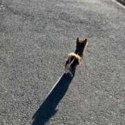 ヒメ日記 2026/01/22 16:03 投稿 Haru【ハル】 Club Lumine(中津)