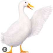 ヒメ日記 2026/01/27 10:00 投稿 Haru【ハル】 Club Lumine(中津)