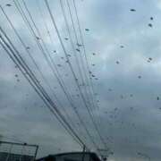 ヒメ日記 2026/01/27 13:59 投稿 Haru【ハル】 Club Lumine(中津)