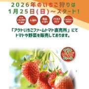 ヒメ日記 2026/01/31 14:01 投稿 Haru【ハル】 Club Lumine(中津)