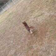 ヒメ日記 2026/01/31 18:24 投稿 Haru【ハル】 Club Lumine(中津)