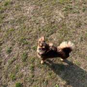 ヒメ日記 2026/02/21 13:02 投稿 Haru【ハル】 Club Lumine(中津)