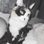 ヒメ日記 2026/03/02 01:27 投稿 Haru【ハル】 Club Lumine(中津)