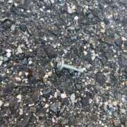 ヒメ日記 2026/03/04 18:02 投稿 Haru【ハル】 Club Lumine(中津)