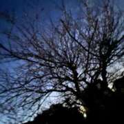 ヒメ日記 2026/03/17 06:15 投稿 Haru【ハル】 Club Lumine(中津)