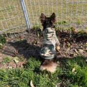 ヒメ日記 2026/03/17 09:02 投稿 Haru【ハル】 Club Lumine(中津)