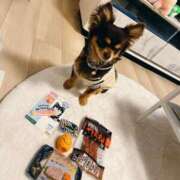 ヒメ日記 2026/03/19 16:30 投稿 Haru【ハル】 Club Lumine(中津)