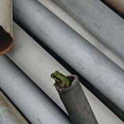 ヒメ日記 2026/03/25 10:00 投稿 Haru【ハル】 Club Lumine(中津)