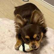 ヒメ日記 2026/03/28 06:31 投稿 Haru【ハル】 Club Lumine(中津)