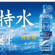 ヒメ日記 2026/03/29 09:00 投稿 Haru【ハル】 Club Lumine(中津)