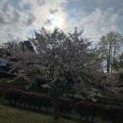 ヒメ日記 2026/04/07 09:35 投稿 Haru【ハル】 Club Lumine(中津)