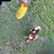 ヒメ日記 2026/04/13 10:31 投稿 Haru【ハル】 Club Lumine(中津)