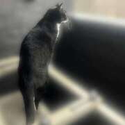 ヒメ日記 2026/04/14 10:14 投稿 Haru【ハル】 Club Lumine(中津)