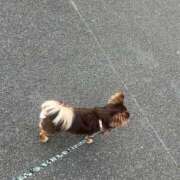 ヒメ日記 2026/04/17 06:31 投稿 Haru【ハル】 Club Lumine(中津)