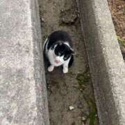 ヒメ日記 2026/04/26 06:41 投稿 Haru【ハル】 Club Lumine(中津)
