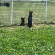 ヒメ日記 2026/05/09 12:14 投稿 Haru【ハル】 Club Lumine(中津)