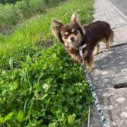 ヒメ日記 2026/05/11 12:05 投稿 Haru【ハル】 Club Lumine(中津)