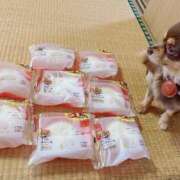 ヒメ日記 2026/06/07 16:46 投稿 Haru【ハル】 Club Lumine(中津)