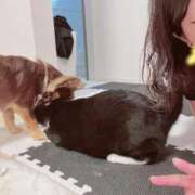 ヒメ日記 2026/07/09 13:30 投稿 Haru【ハル】 Club Lumine(中津)