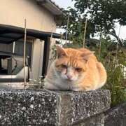 ヒメ日記 2026/07/23 13:01 投稿 Haru【ハル】 Club Lumine(中津)