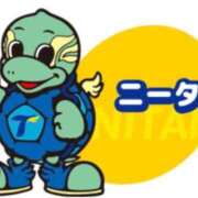 ヒメ日記 2026/08/01 09:01 投稿 Haru【ハル】 Club Lumine(中津)
