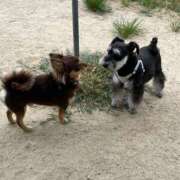 ヒメ日記 2026/08/11 08:46 投稿 Haru【ハル】 Club Lumine(中津)