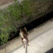 ヒメ日記 2026/09/05 04:45 投稿 Haru【ハル】 Club Lumine(中津)